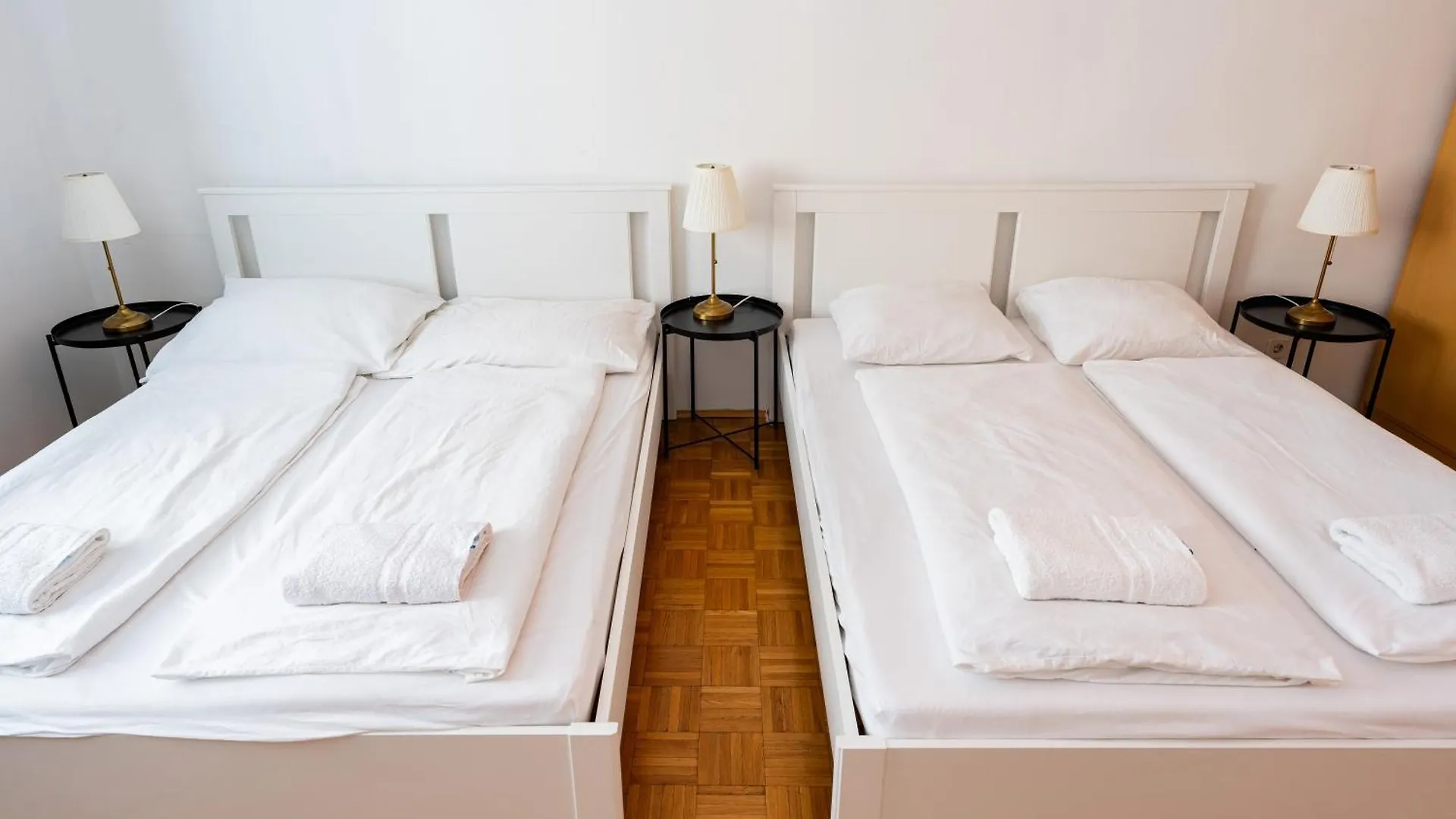 Central Living Apartment Opera Vienna